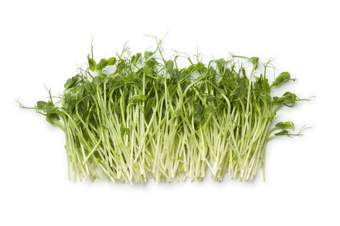 justseed3040573