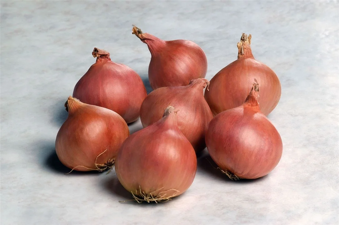 justseed3040819