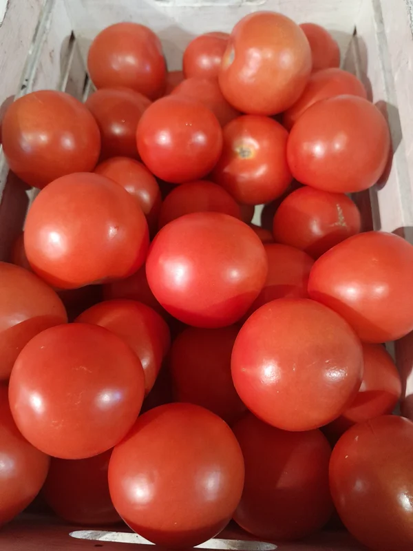 justseed3040996