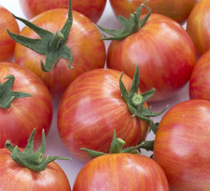 justseed3041126