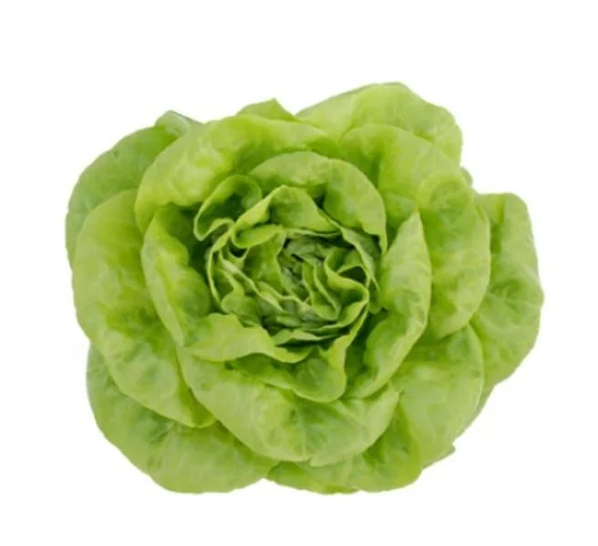 justseed3048347