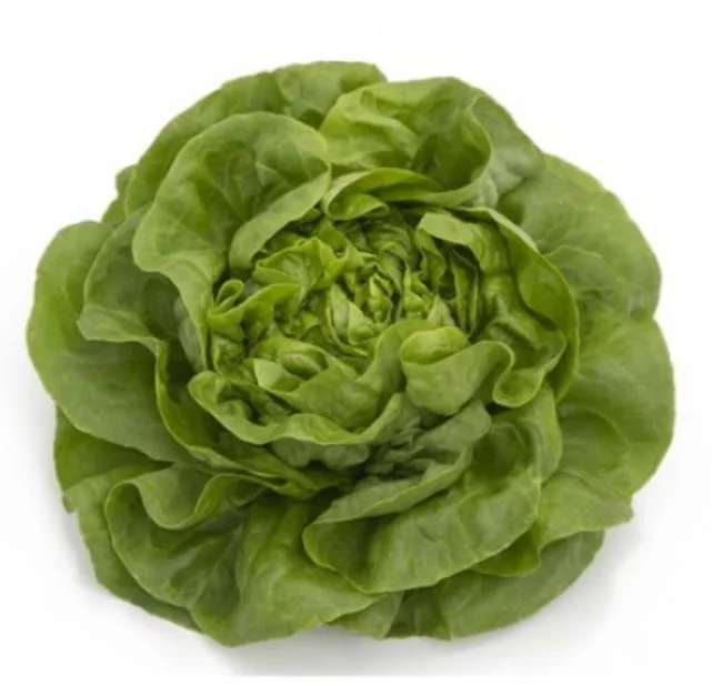 justseed3056546