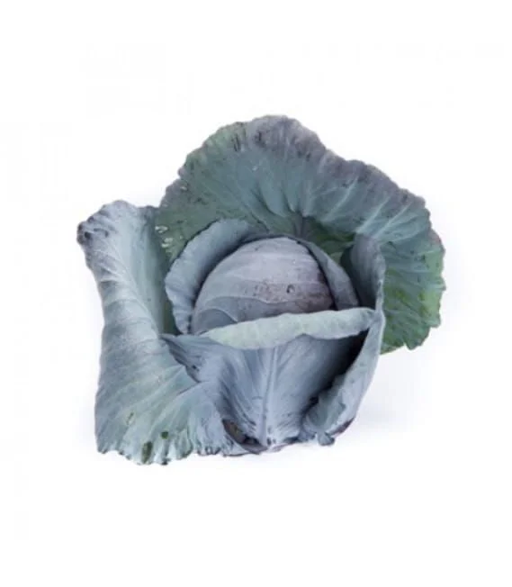 justseed3056607