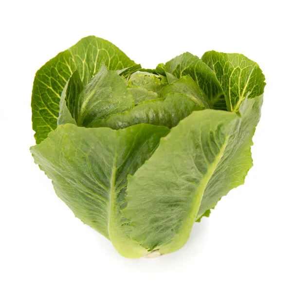 justseed3056665