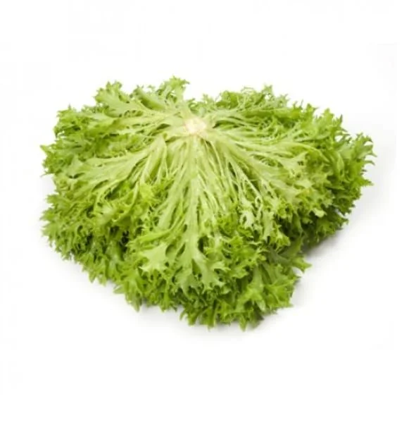 justseed3056685