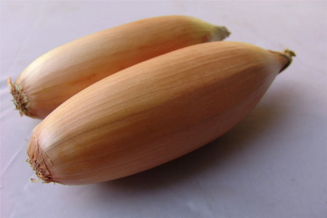 justseed3062175