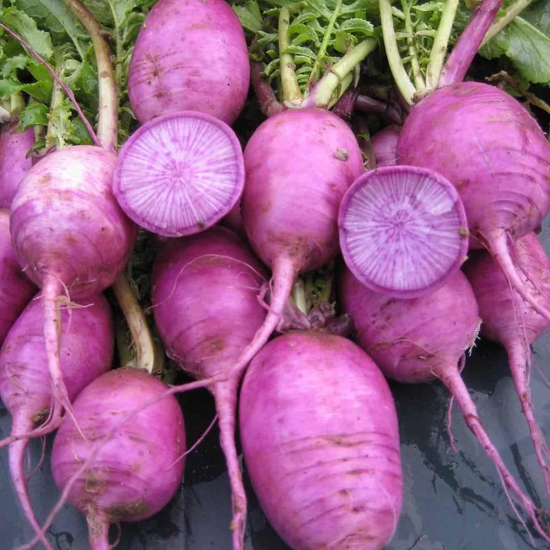 justseed3065993