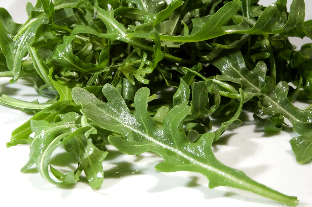 justseed3067051
