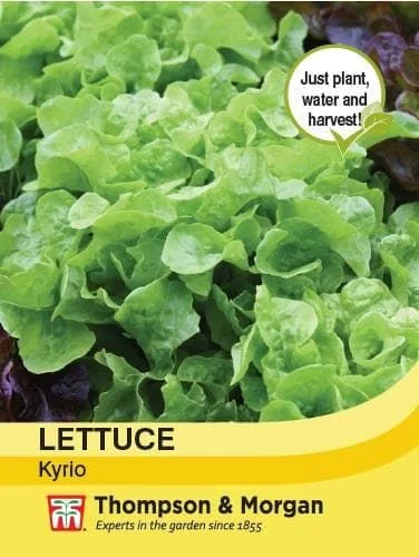 justseed3068405