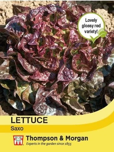 justseed3068430