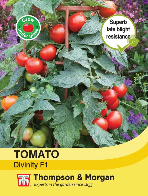 justseed3077410