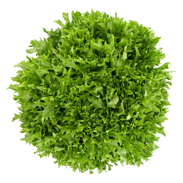 justseed3079106