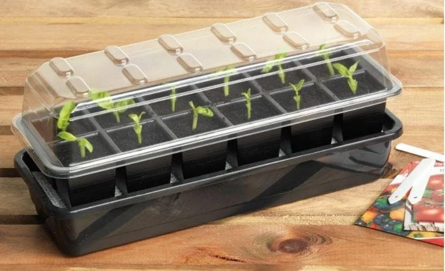justseed3080342