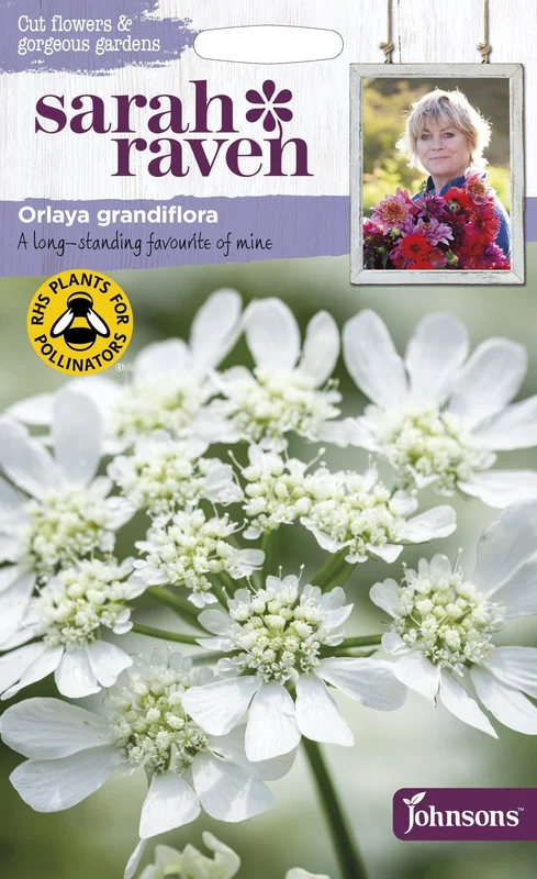 justseed3081228