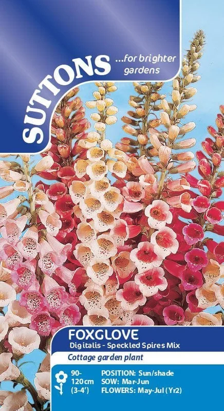 justseed3083216