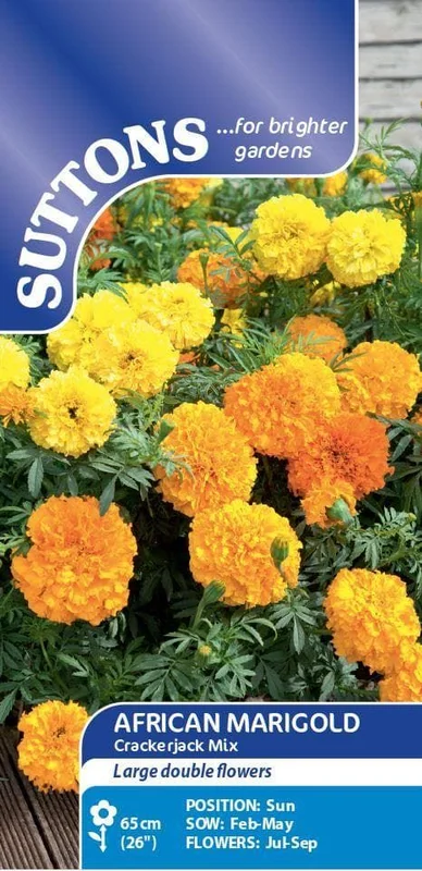 justseed3083286