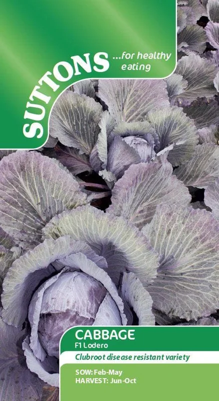 justseed3083647