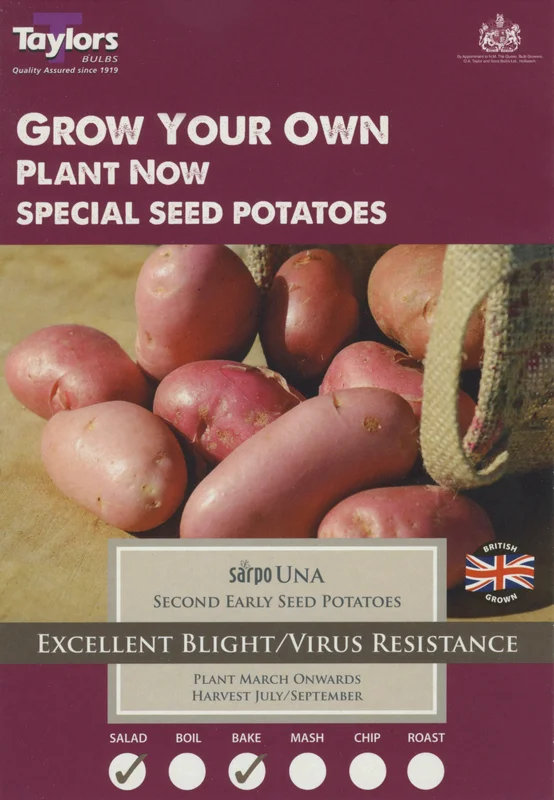 justseed3083852