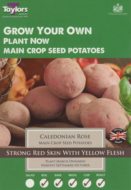 justseed3083992