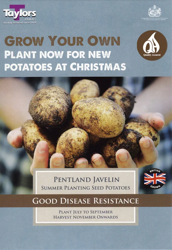 justseed3084256