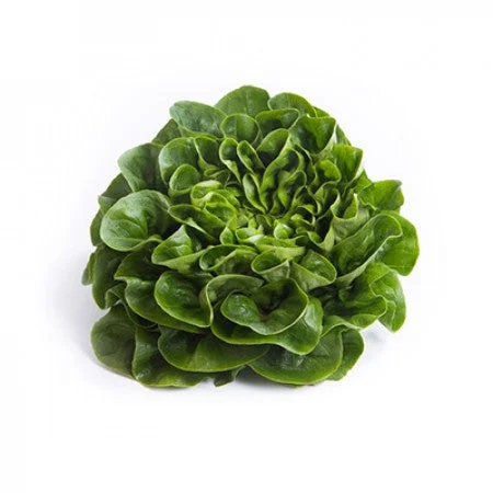 justseed3087210