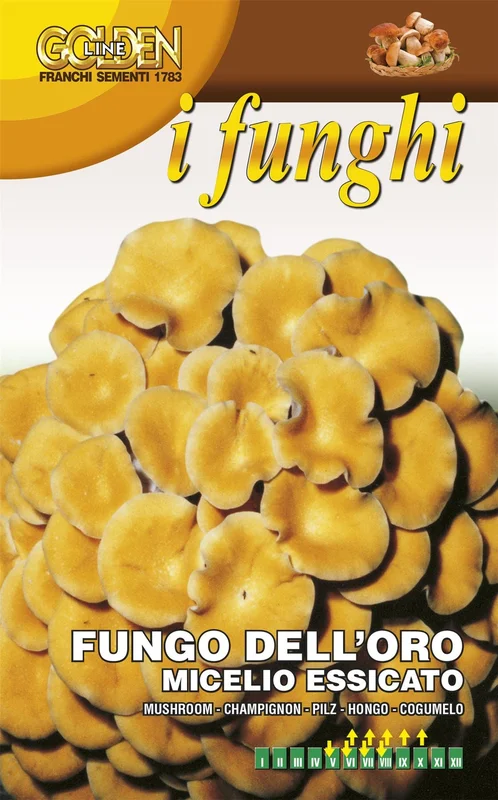 justseed3087544