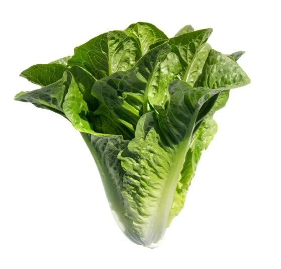 justseed3087778