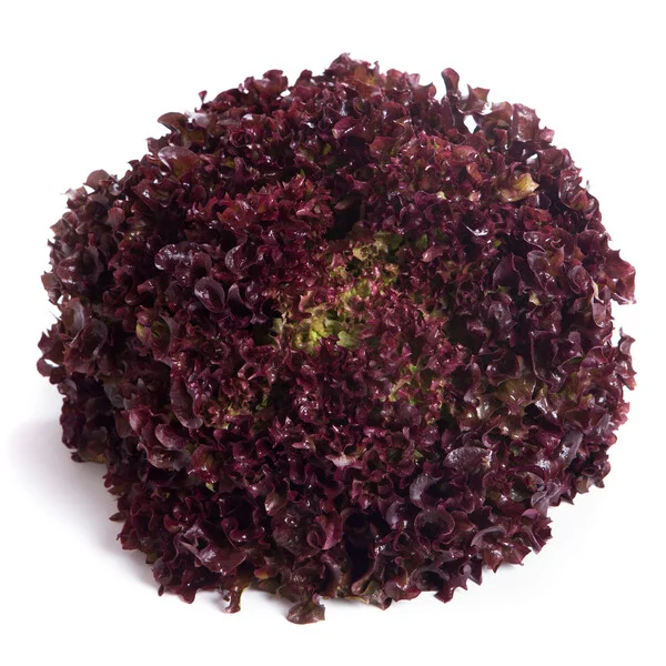 justseed3088930