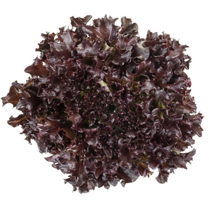 justseed3088966