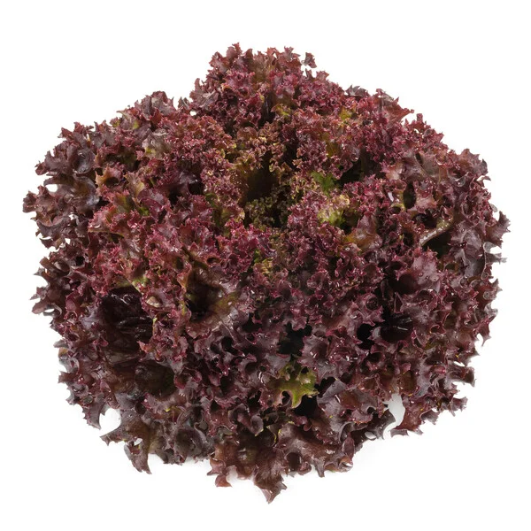 justseed3089046