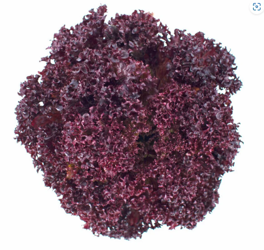 justseed3089123