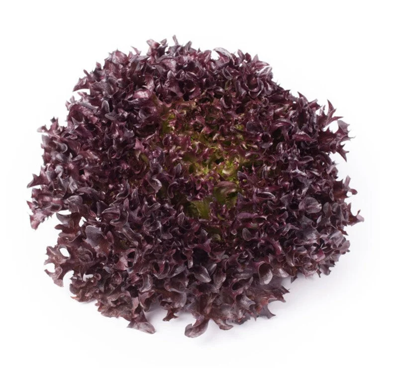 justseed3089176