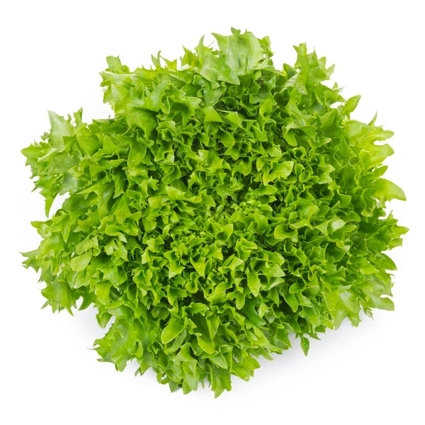 justseed3089312