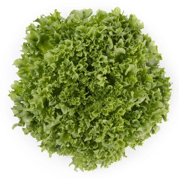 justseed3089506