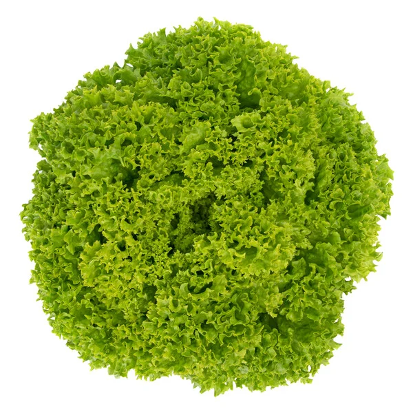 justseed3089539