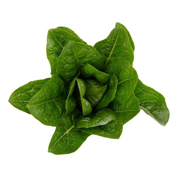 justseed3089619