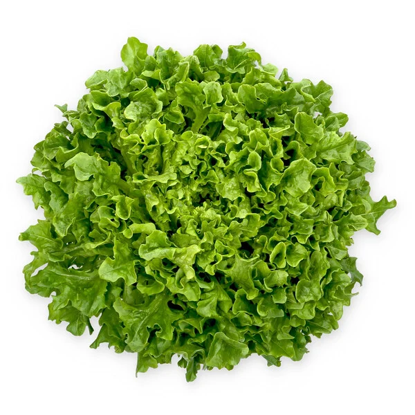 justseed3089649