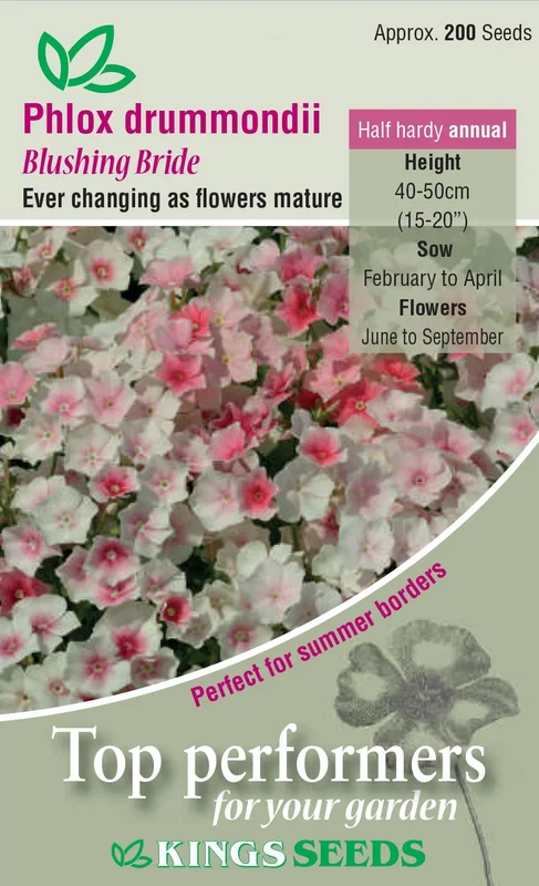 justseed3091669