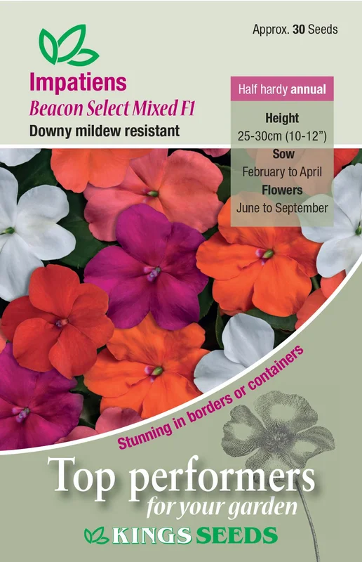 justseed3092086