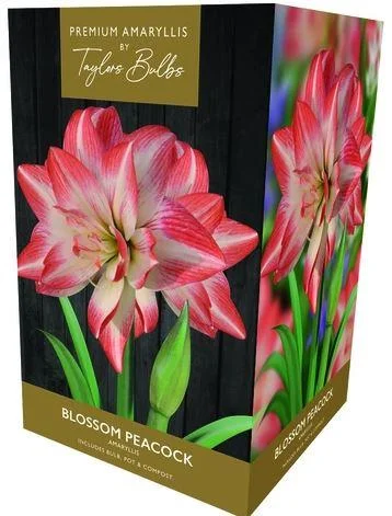 justseed3093037