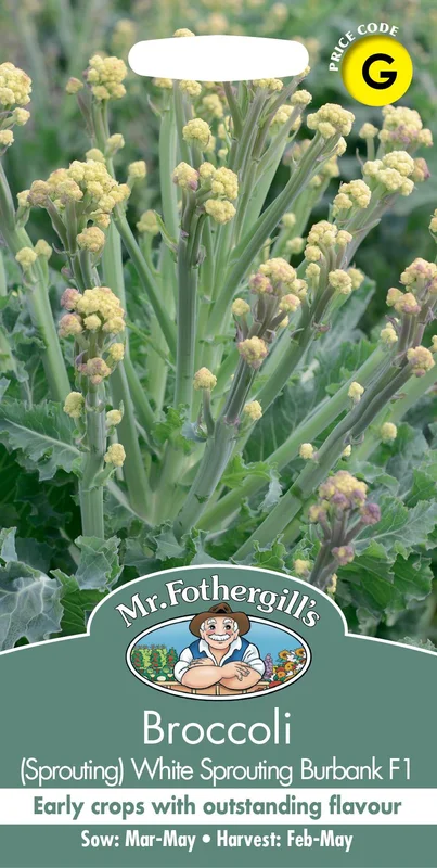 justseed3093932