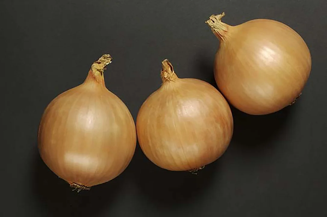 justseed3106094