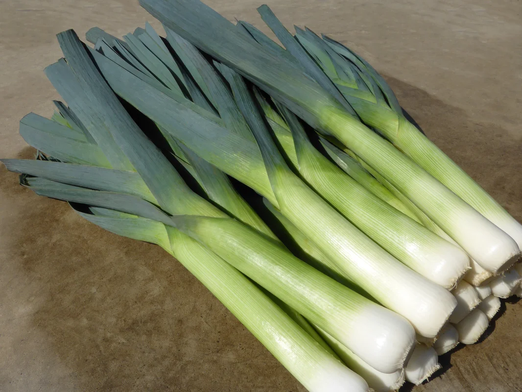 justseed3106289