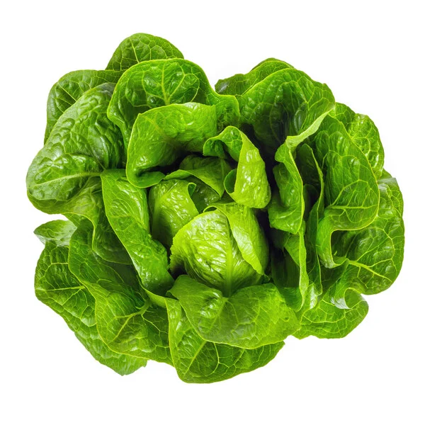 justseed3107279