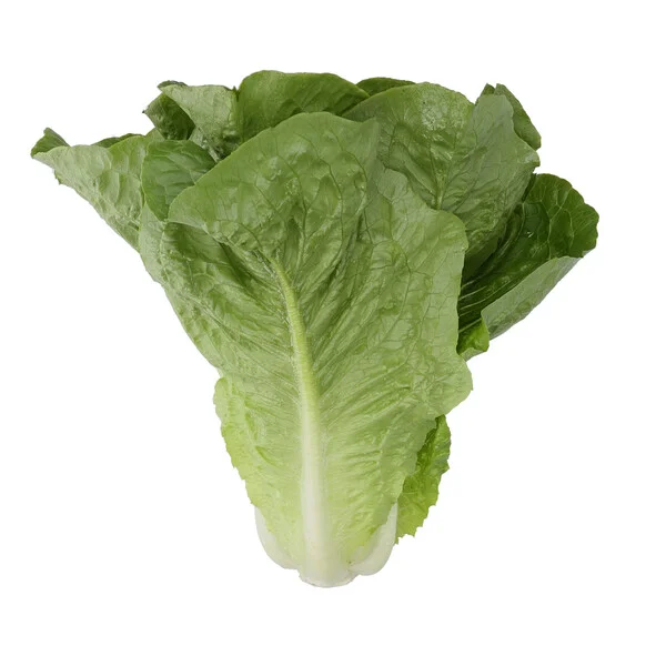 justseed3107311