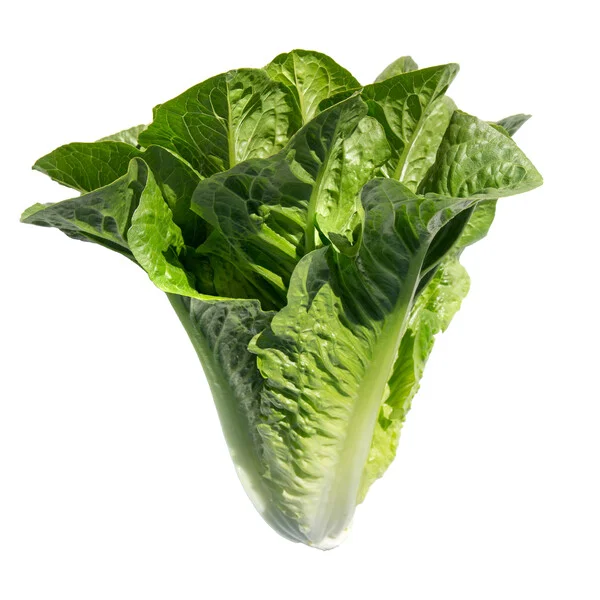 justseed3107326