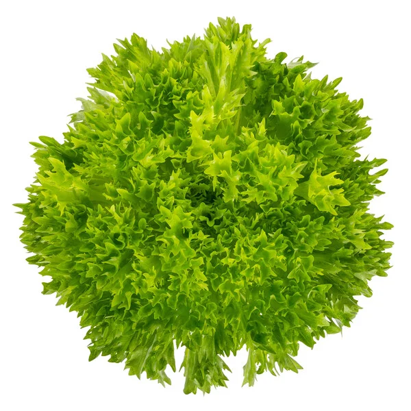 justseed3107352