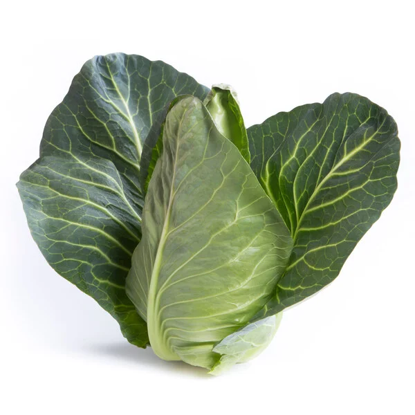justseed3107454