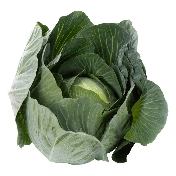 justseed3107472