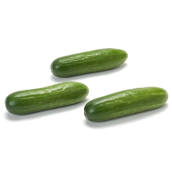 justseed3107645